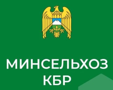 ����������� ���������-�������� ���������� � ���� ������ ������ �������