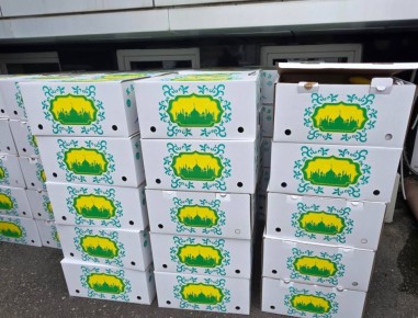 � ���������� ������ ������� ������ ������ ���������� ���