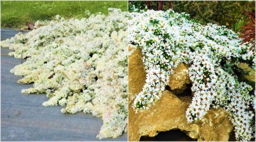 �����������, ������� ������� ��� ������� ���� � �����: ������� ������������� �����