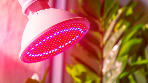 ��������� ���������: ��� ������� ������� ����������� �������