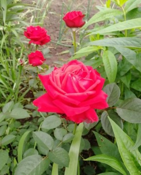 �������� ������� � �����������: ����������� ��������� � ������ ���������