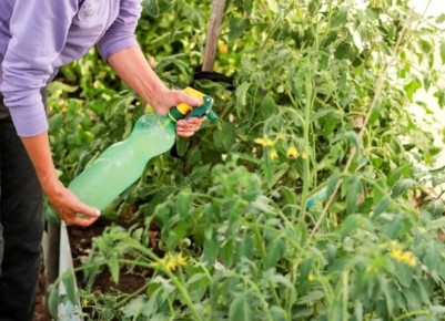 ����������� ������ � �����������: �������� �������� �� ������ ������ ������