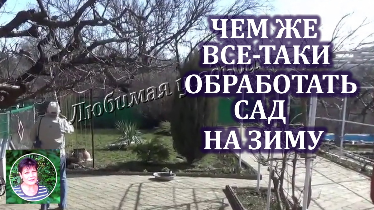 Какими средствами обработать сад перед зимой: выбор для каждого садовода