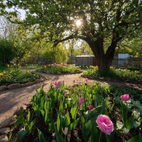 ������� �������: ���� ������ ��� ������� ���������, ������� ������ ����� ��������