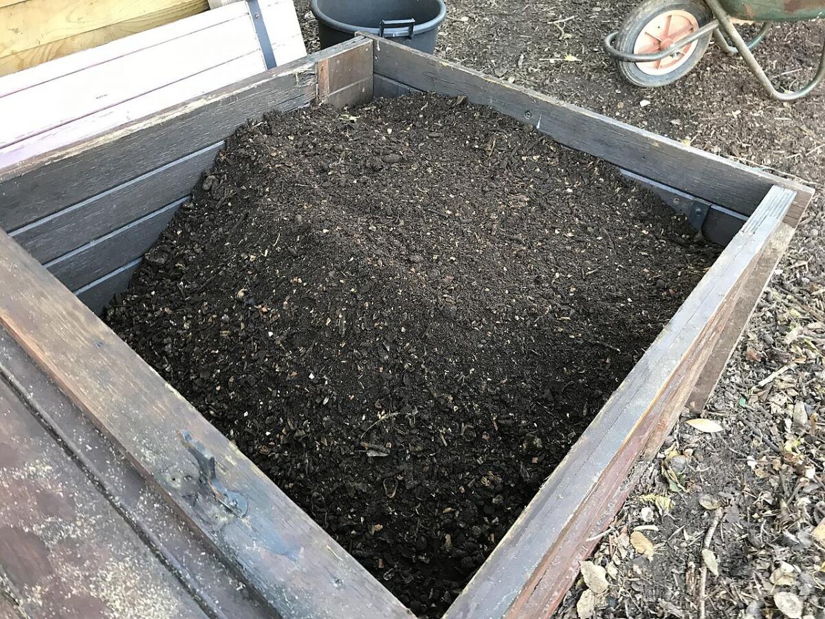 Как компост может угрожать здоровью вашего сада