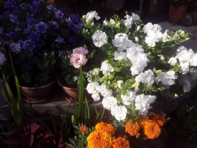 ������� ��� ������: ���� �� �������� � ������ ����