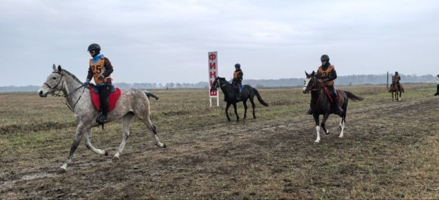 � ��������������� ��������� �������� ������ �������� ������������ �� ������ �������� ������ ������� ���������� �������� ������ ��������