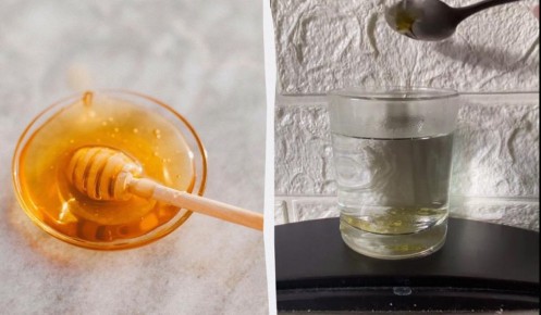 ��� �������� ��������� ��� �� ��������: ����������� � �����