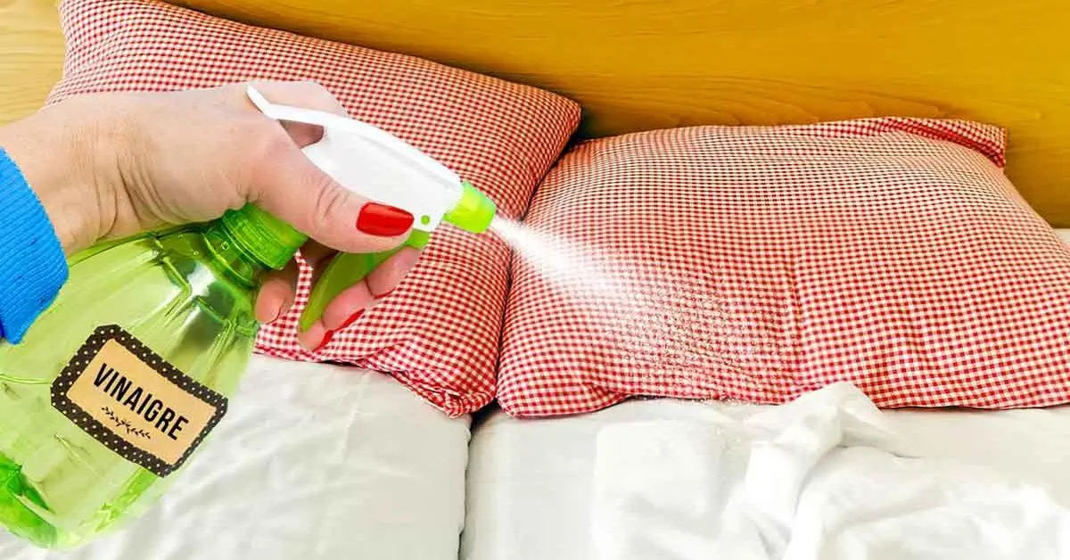 Легкие способы устранить складки на одежде без утюга