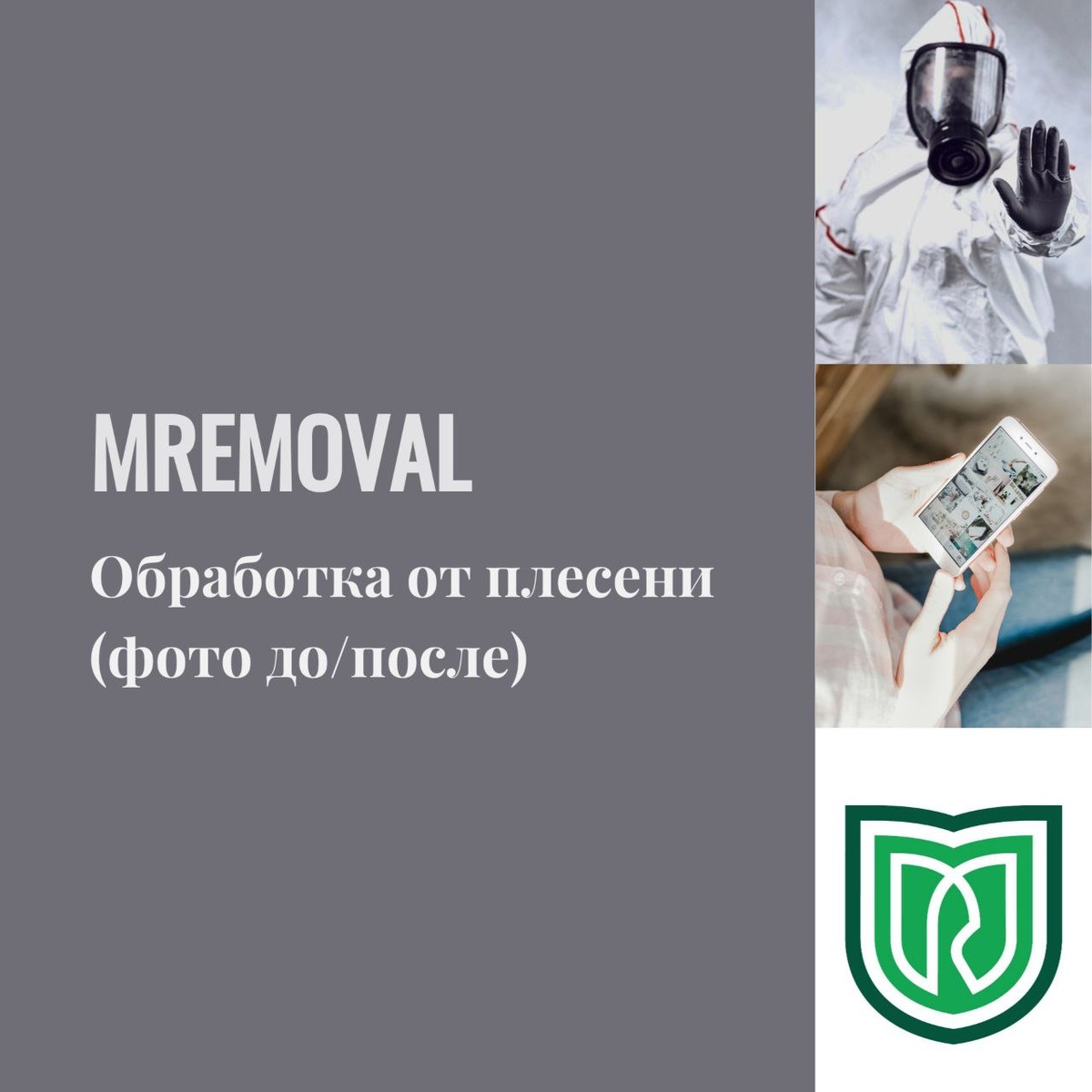 Как успешно победить плесень в вашем доме