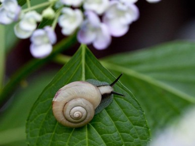 ��� ���� ������������ � ���� ��������� ������ ������ ������ � ����