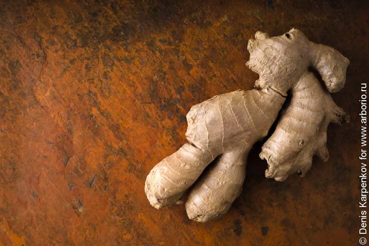 ��������� ��� ������� ����������: ��� �������� � ������