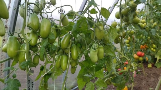 ���������� ����� ������ � �����������, ������� ������� ������ � ������ ��������