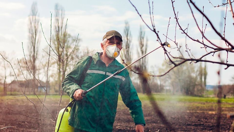 ��� ������� ��������� ���� ��������� ������� ��������� ������