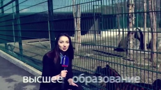 ���� ����������-��������� ���������� �� ������ �����������