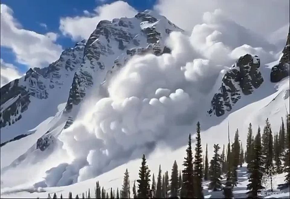 � ����� ���������-�������� ����������� �������� ���������!