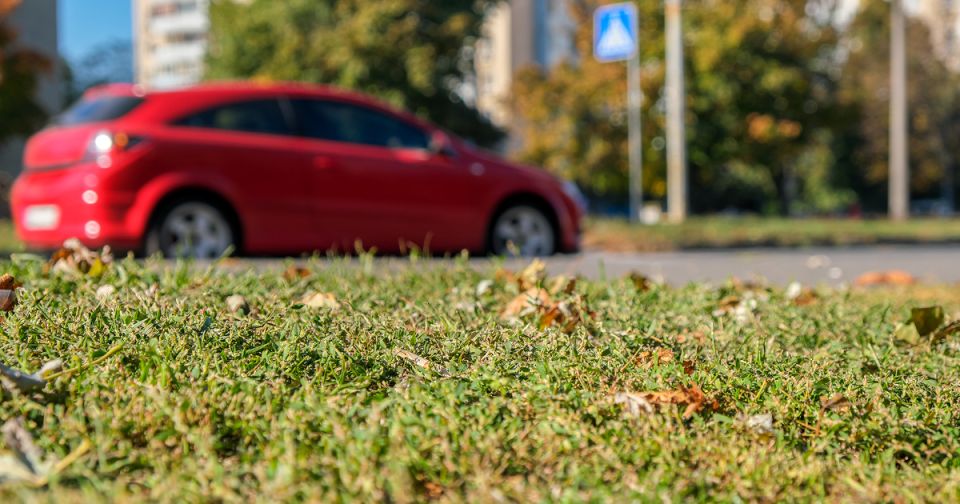 ����� �� �������� �� ������: ��� �������� ���� ������������� �� �����