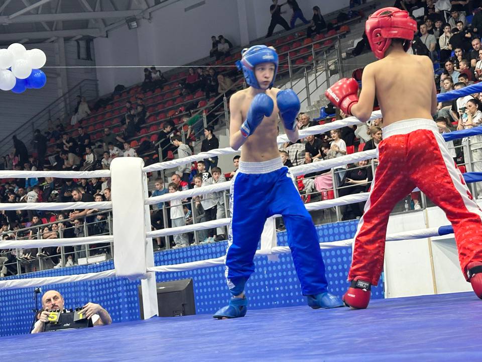Всероссийские соревнования по кикбоксингу стартовали в КБР Всероссийские соревнования по кикбоксингу стартовали в КБР