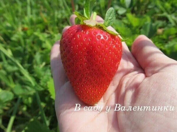 ��� ��������� ������������� �������� ����� ����� ������: ������� ��������� �����