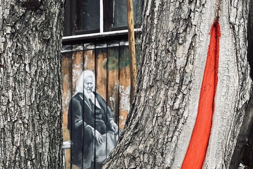 ��� ����� ����� �� ��������� ������ � 2026 ����