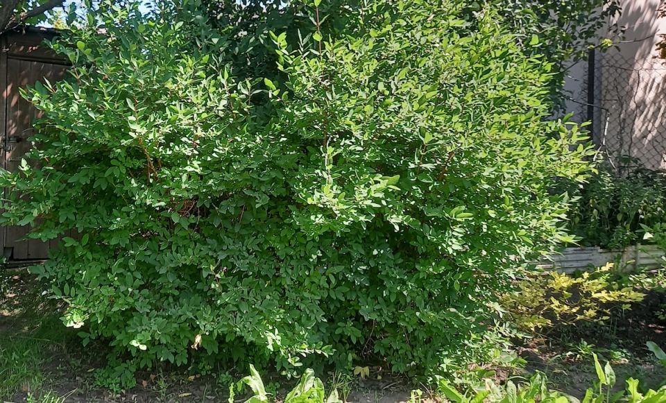 ��� ��������� �������� ��������� ��� ������������� ������