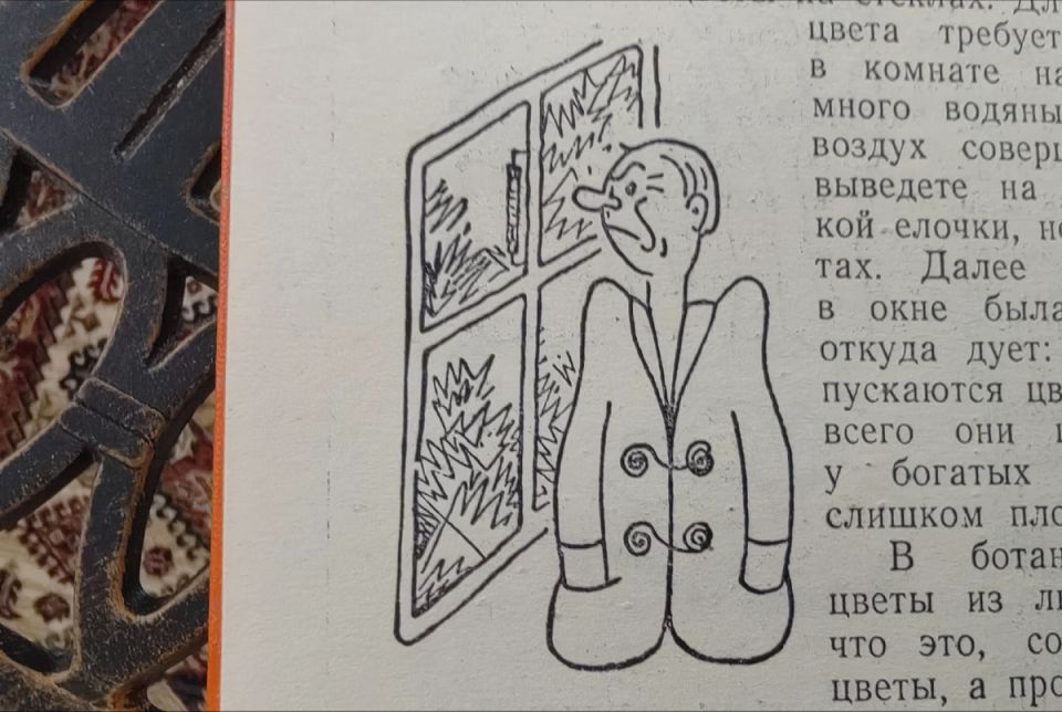 ���������� ����: ����������� ����������� ���� � ������ � ��������