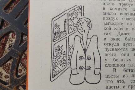 ���������� ����: ����������� ����������� ���� � ������ � ��������