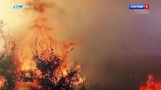 МЧС Кабардино-Балкарии напоминает: пал сухой травы может привести к трагедии!