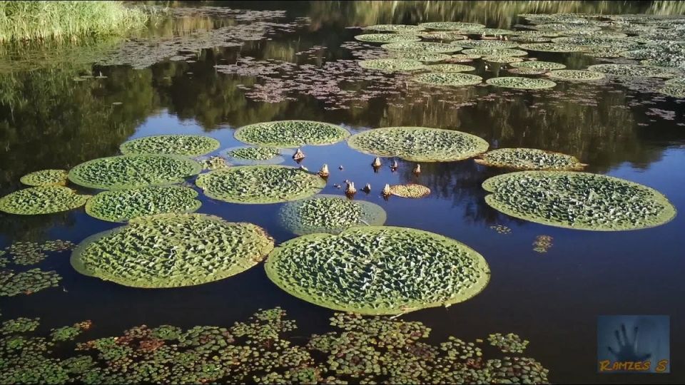 �������: ������������ �������� � �������� � ������ ��������