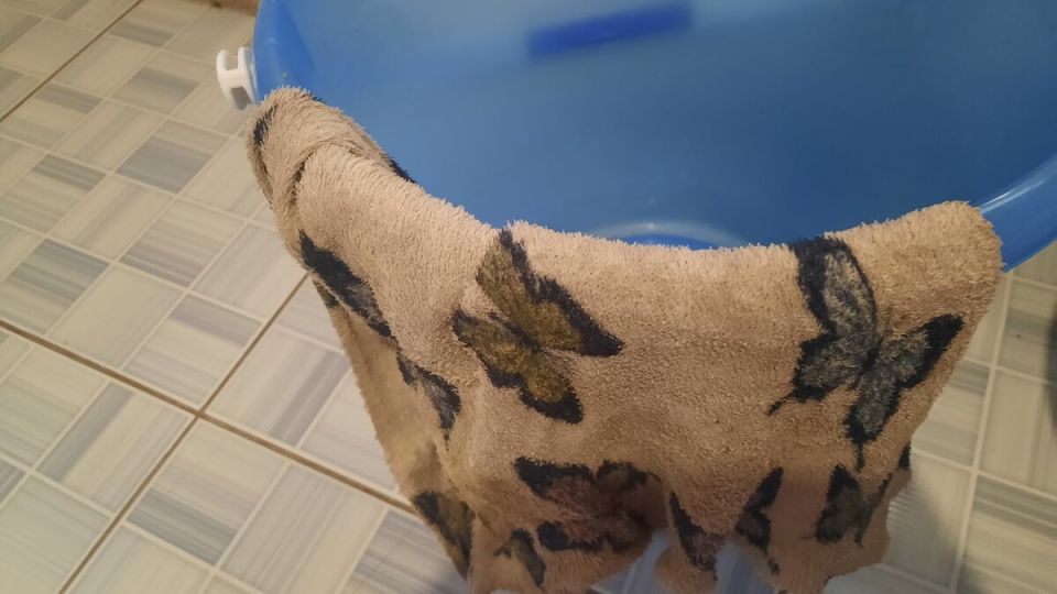 �������� ��������: �������� ��������� �������, ������� ����������� �� ��� ���