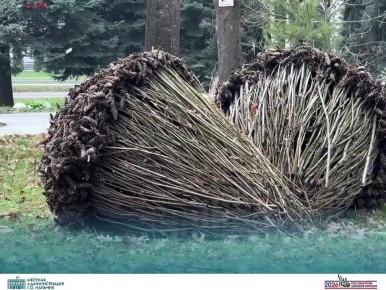 ���� �������� � �������� ������� �������� ����� �� ����� ���������� ���� ������ ��� ������� ������