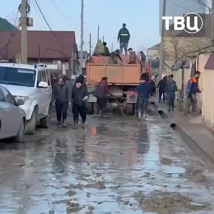 76 ������� ���������� �� ���������� � ���������� �������� ��������, �������� ����������� ������ ���������