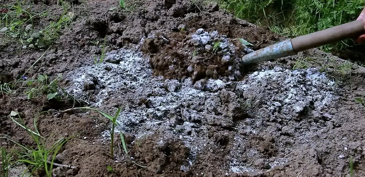 Как подготовить почву в теплице к следующему сезону: советы по осеннему удобрению