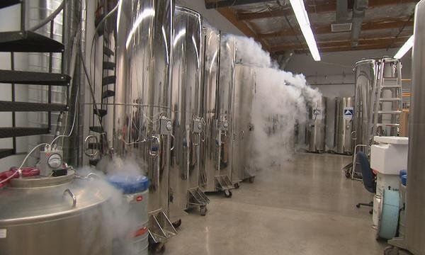 ��������: ����� � ������������� �����