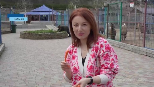 Не так давно полицейские Кабардино-Балкарии изъяли у частного лица трёхмесячного львёнка