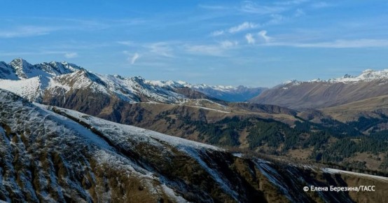 ��������� ������������ ����������� �� ���������� �������� ��������� �������, � �������������� ���� � ���������-�������� ��������� ���������, � � ���������, �����, ���������, �������� ������ � ���������-�������� - ��������...