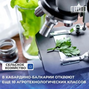 � �������� ����� ���� � ������ ������ ���������-�������� ���������� �������������� ������������������� ������