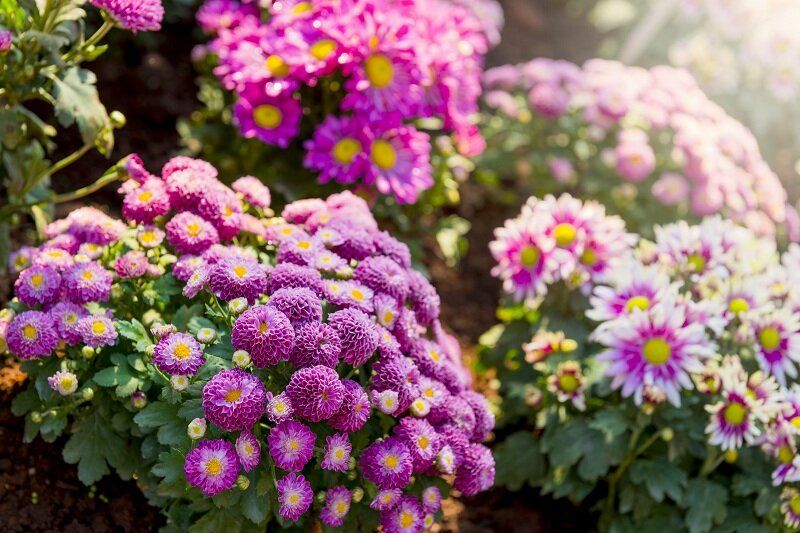 ���������� � ����: ���������� ��� ��������?