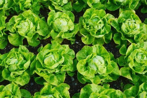 �������������� �����: ��� ��������� ���� � ������ � �������