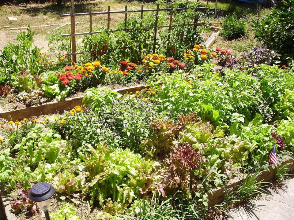 ����������� ������: ������ �������� �� ���������� � ������� ���������� �����