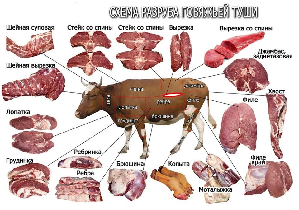 ��� ������� ��������� ����� �������� ��� ������ �����