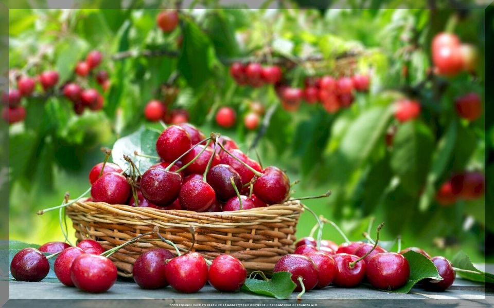 ��� ������� ����� � ������� �����: ������� ��������� ��� �������� ������