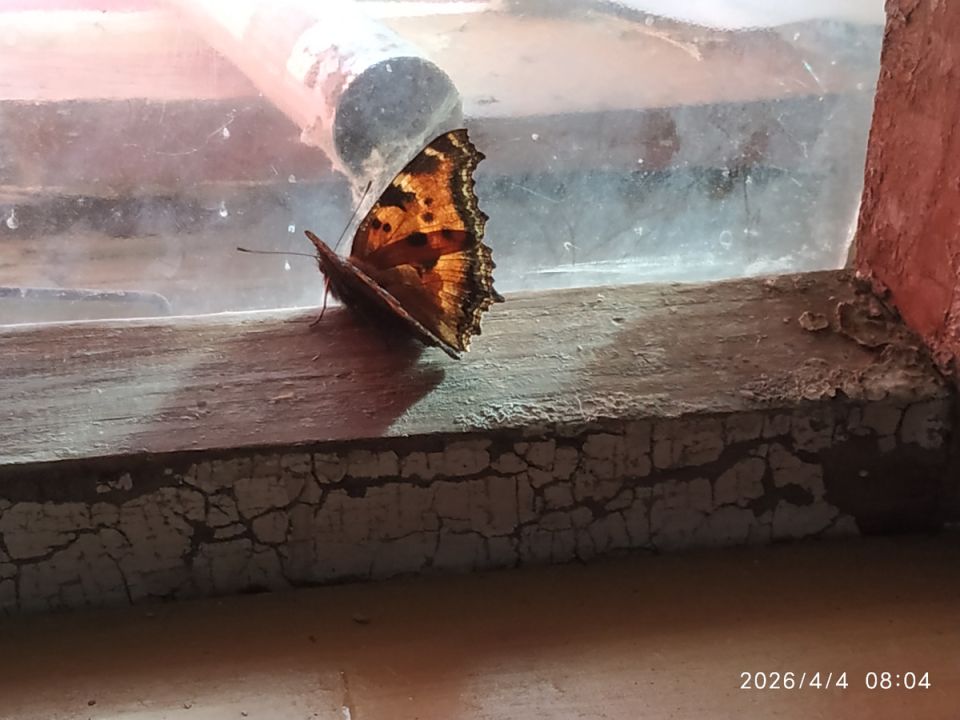 ����� � ����: ��� ��������� �������� ������� ���� � ��������