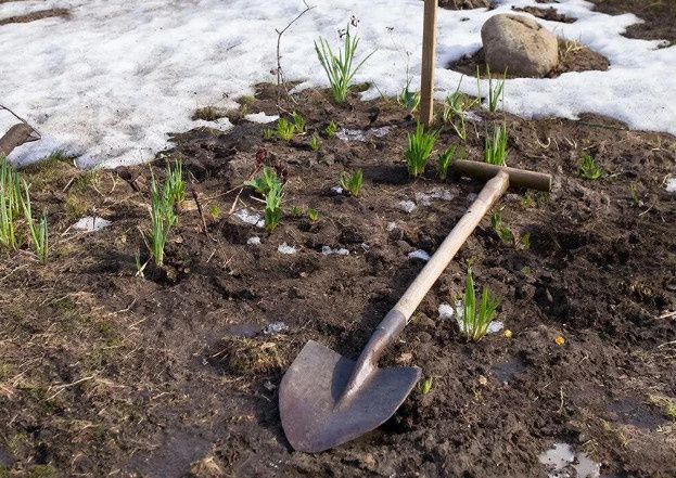 ������ ������ ��������� ������ ������ ����� ���������