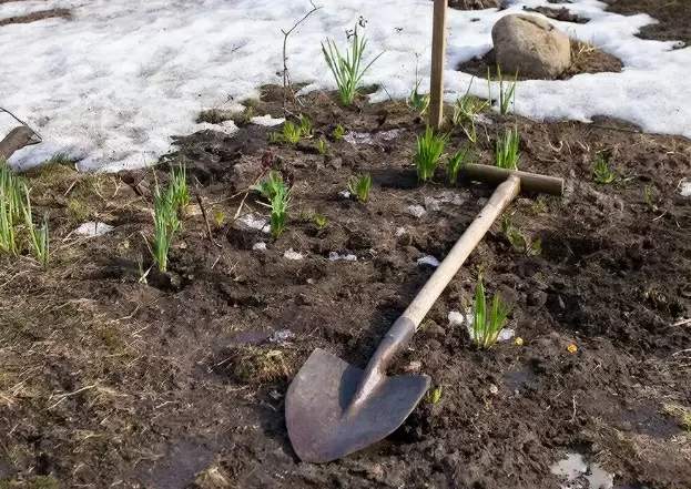 Почему ранняя перекопка клумбы вредит вашим растениям