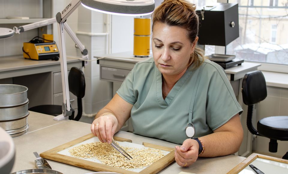 ��� ������� ������ ����� � ������: �������� ������