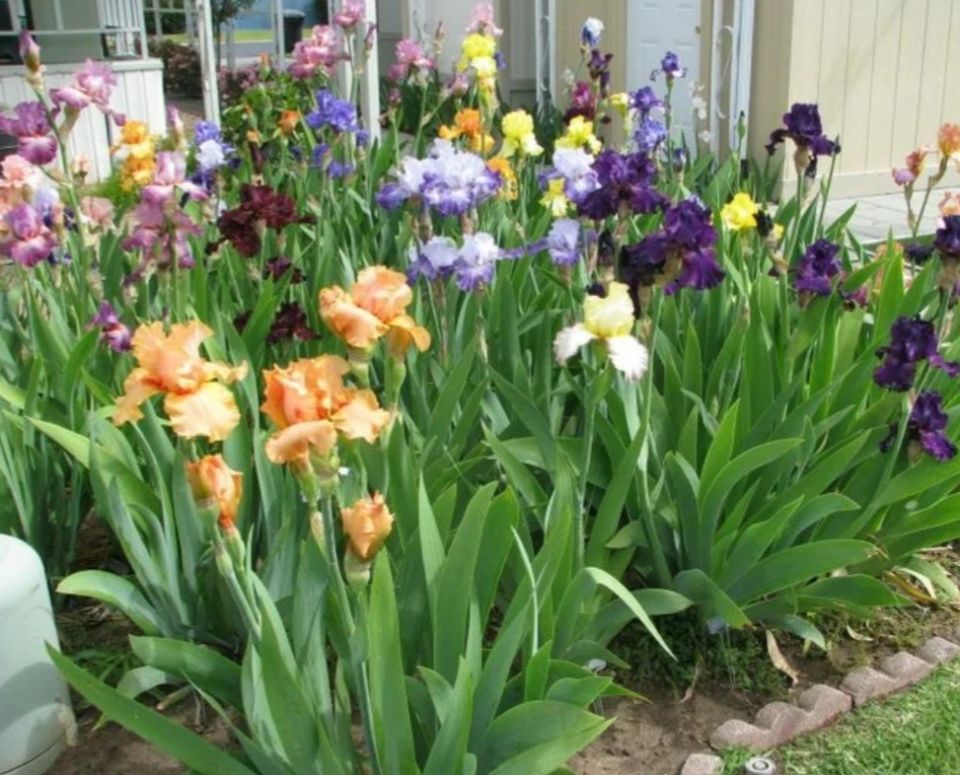 ��� ����������� ����� � ����: ������ � ������������