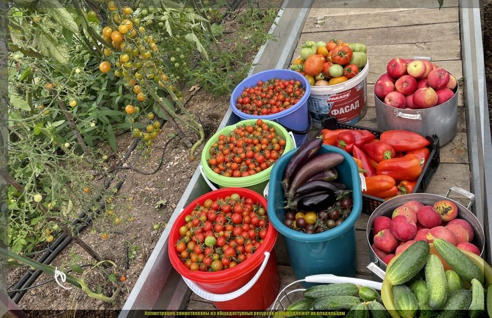 ������ �� ����: ������� ������ ��� ��������� � �����������