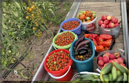 ������ �� ����: ������� ������ ��� ��������� � �����������