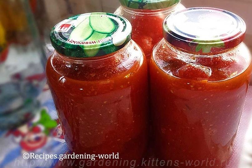 �������� � ����������� ����: ������� ��������� ���������������